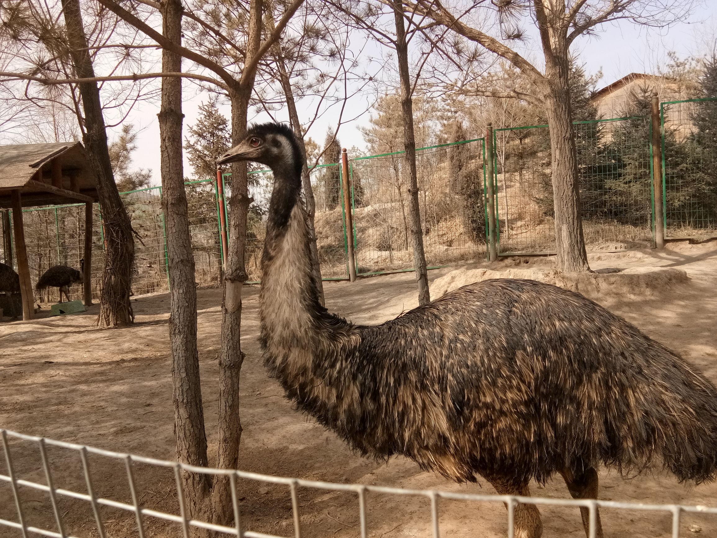 青海秘境之旅,探秘无限风光,领略自然之美!