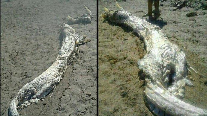 营口概览,城市发展与特色解读