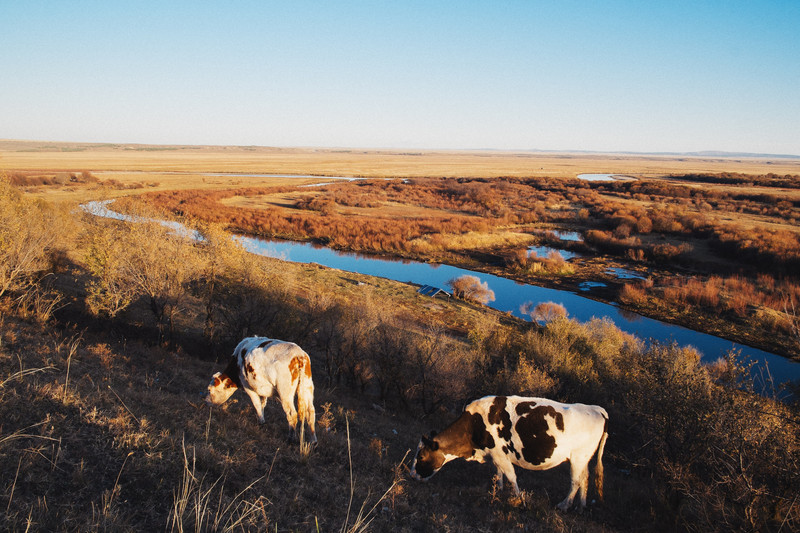 呼伦贝尔，草原明珠，旅游新宠儿启程地